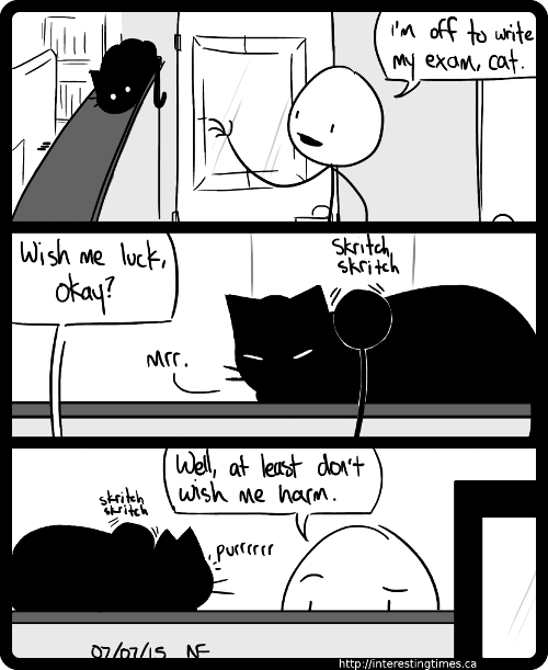 Is it ironic to ask a black cat for good luck? 